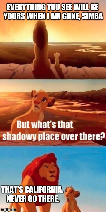 Simba Shadowy Place | EVERYTHING YOU SEE WILL BE YOURS WHEN I AM GONE, SIMBA; THAT'S CALIFORNIA. NEVER GO THERE. | image tagged in memes,simba shadowy place | made w/ Imgflip meme maker