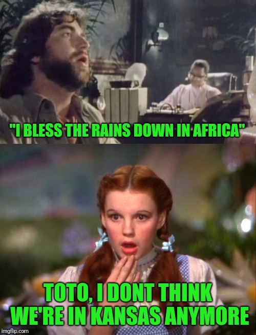 "I BLESS THE RAINS DOWN IN AFRICA"; TOTO, I DONT THINK WE'RE IN KANSAS ANYMORE | image tagged in memes,toto,dorothy,africa | made w/ Imgflip meme maker