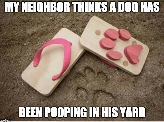 ;) | MY NEIGHBOR THINKS A DOG HAS; BEEN POOPING IN HIS YARD | image tagged in dog,pooping,poop,hillary clinton | made w/ Imgflip meme maker
