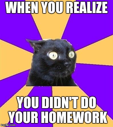 anxiety cat | WHEN YOU REALIZE; YOU DIDN'T DO YOUR HOMEWORK | image tagged in anxiety cat | made w/ Imgflip meme maker