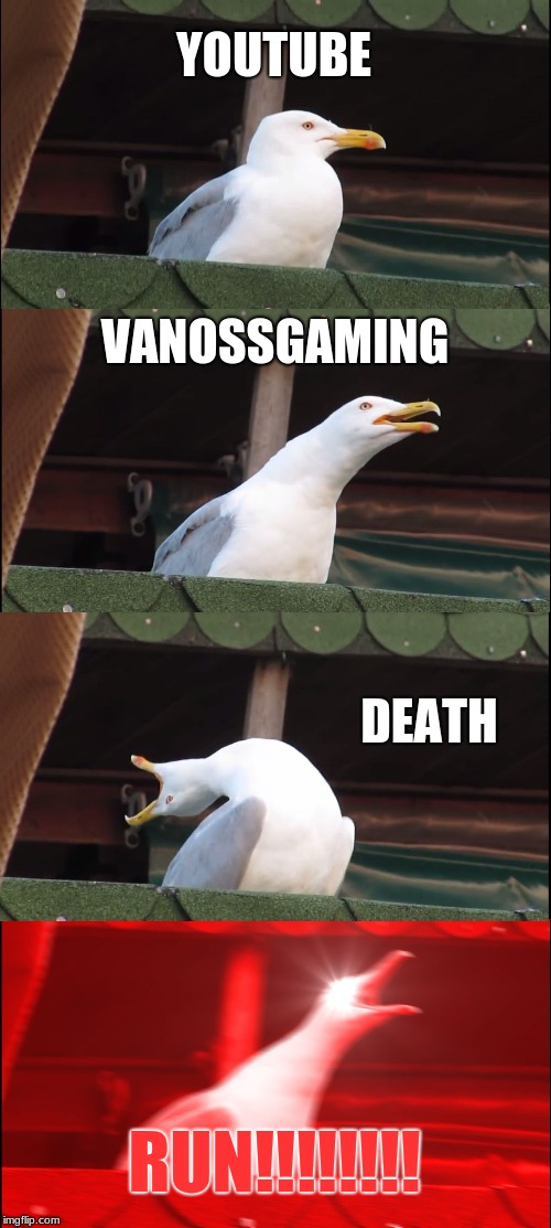 youtube | YOUTUBE; VANOSSGAMING; DEATH; RUN!!!!!!!! | image tagged in memes,inhaling seagull,youtuber,vanossgaming,gmod | made w/ Imgflip meme maker