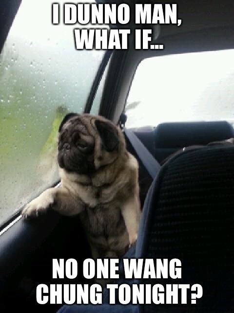 Introspective Pug | I DUNNO MAN, WHAT IF... NO ONE WANG CHUNG TONIGHT? | image tagged in introspective pug,memes | made w/ Imgflip meme maker
