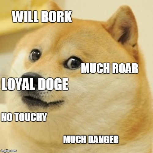 Doge | WILL BORK; MUCH ROAR; LOYAL DOGE; NO TOUCHY; MUCH DANGER | image tagged in memes,doge | made w/ Imgflip meme maker