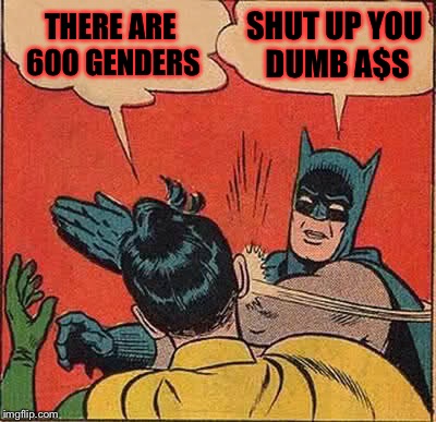It's the Hokeewolf "USE WHATEVER TEMPLATE POPS UP WHEN YOU HIT THE CREATE BUTTON" challenge. | THERE ARE 600 GENDERS; SHUT UP YOU DUMB A$S | image tagged in memes,batman slapping robin,meme,masqurade_,genders,2 genders | made w/ Imgflip meme maker