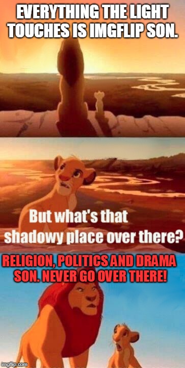 Just don't go there and everything will be fine! | EVERYTHING THE LIGHT TOUCHES IS IMGFLIP SON. RELIGION, POLITICS AND DRAMA SON. NEVER GO OVER THERE! | image tagged in memes,simba shadowy place,nixieknox | made w/ Imgflip meme maker
