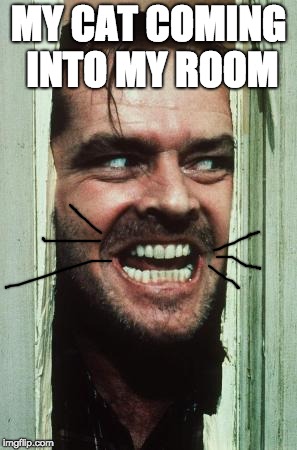 Here's Johnny | MY CAT COMING INTO MY ROOM | image tagged in memes,heres johnny | made w/ Imgflip meme maker