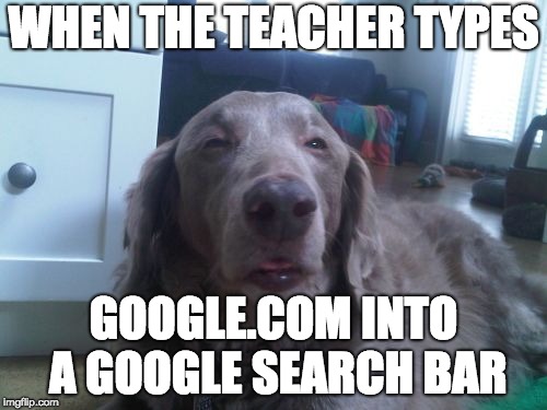 High Dog Meme | WHEN THE TEACHER TYPES; GOOGLE.COM INTO A GOOGLE SEARCH BAR | image tagged in memes,high dog | made w/ Imgflip meme maker