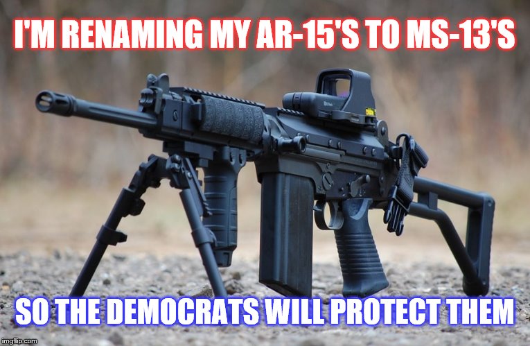 Loophole the Left | I'M RENAMING MY AR-15'S TO MS-13'S; SO THE DEMOCRATS WILL PROTECT THEM | image tagged in politics,guns,democrats | made w/ Imgflip meme maker