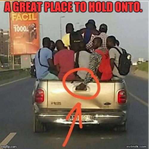 Hold On! | A GREAT PLACE TO HOLD ONTO. | image tagged in safety first,funny meme | made w/ Imgflip meme maker