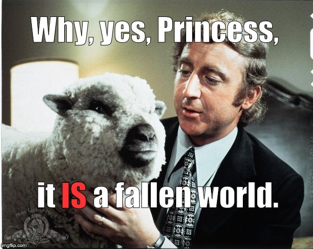 Baaa | Why, yes, Princess, it IS a fallen world. IS | image tagged in baaa | made w/ Imgflip meme maker