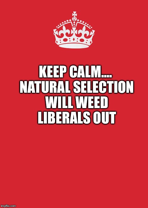 Keep Calm And Carry On Red | KEEP CALM.... NATURAL SELECTION WILL WEED LIBERALS OUT | image tagged in memes,keep calm and carry on red | made w/ Imgflip meme maker