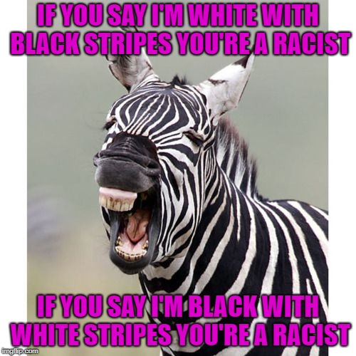 Nowadays, It seems like you just can't win anymore!!! | IF YOU SAY I'M WHITE WITH BLACK STRIPES YOU'RE A RACIST; IF YOU SAY I'M BLACK WITH WHITE STRIPES YOU'RE A RACIST | image tagged in zebra laughing,memes,racist,funny,animals,zebra | made w/ Imgflip meme maker