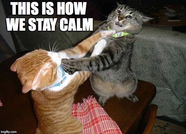 THIS IS HOW WE STAY CALM | made w/ Imgflip meme maker