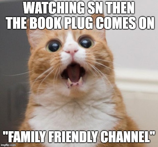 scared cat | WATCHING SN THEN THE BOOK PLUG COMES ON; "FAMILY FRIENDLY CHANNEL" | image tagged in scared cat | made w/ Imgflip meme maker