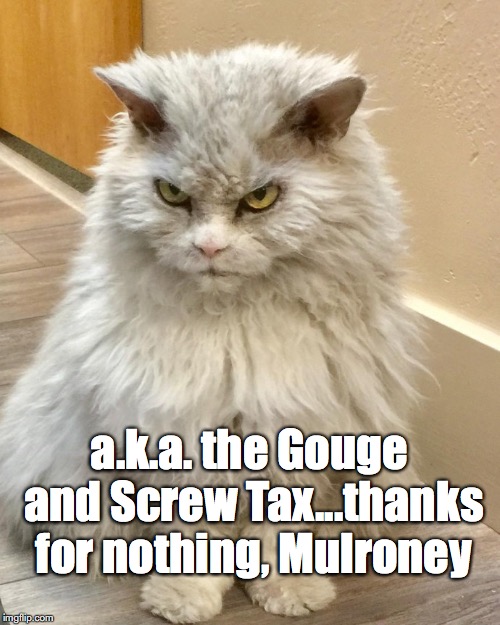 a.k.a. the Gouge and Screw Tax...thanks for nothing, Mulroney | made w/ Imgflip meme maker