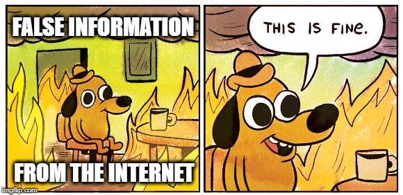 This Is Fine | FALSE INFORMATION; FROM THE INTERNET | image tagged in this is fine dog,internet,false,welcome to the internets,misinformation,internet trolls | made w/ Imgflip meme maker