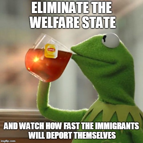 But That's None Of My Business | ELIMINATE THE WELFARE STATE; AND WATCH HOW FAST THE IMMIGRANTS WILL DEPORT THEMSELVES | image tagged in memes,but thats none of my business,kermit the frog | made w/ Imgflip meme maker