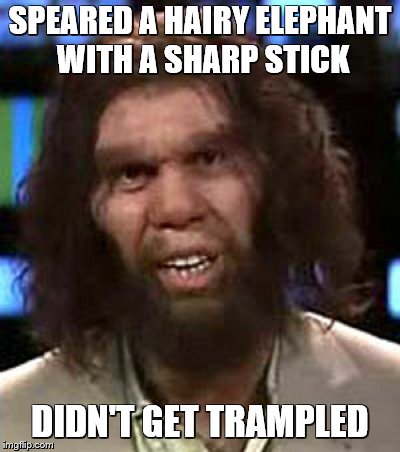 Success Caveman | SPEARED A HAIRY ELEPHANT WITH A SHARP STICK; DIDN'T GET TRAMPLED | image tagged in memes,success kid,geico,caveman | made w/ Imgflip meme maker