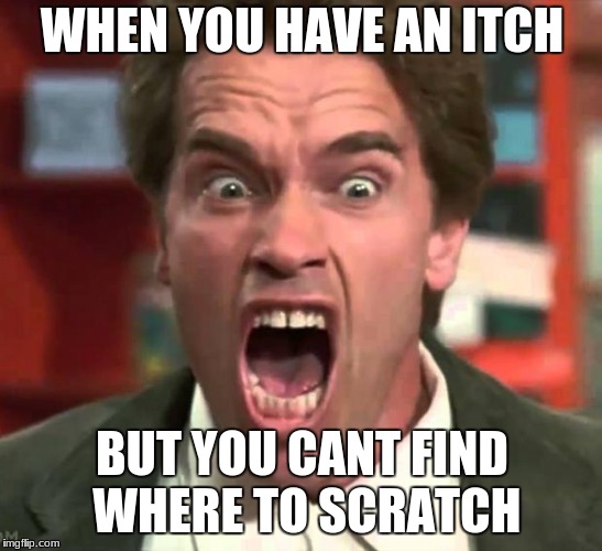 Arnold yelling | WHEN YOU HAVE AN ITCH; BUT YOU CANT FIND WHERE TO SCRATCH | image tagged in arnold yelling | made w/ Imgflip meme maker