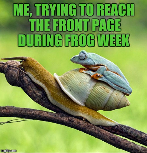 So far y'all don't seem to be loving my Frog Week memes... lol How about some love for this one? :-) Frog Week, June 4-10  | ME, TRYING TO REACH THE FRONT PAGE DURING FROG WEEK | image tagged in jbmemegeek,frog week,giveuahint,funny animals,frogs,snail | made w/ Imgflip meme maker