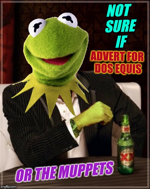 Frog Week, June 4-10, a JBmemegeek & giveuahint event! (Template courtesy of btbeeston!) | NOT SURE IF; ADVERT FOR DOS EQUIS; OR THE MUPPETS | image tagged in the most interesting frog in the world,dos equis,kermit,frog week,muppets | made w/ Imgflip meme maker
