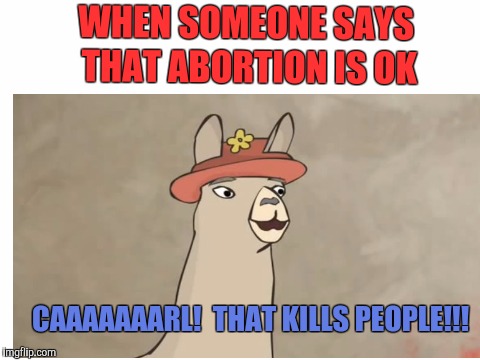 WHEN SOMEONE SAYS THAT ABORTION IS OK; CAAAAAAARL!  THAT KILLS PEOPLE!!! | image tagged in memes,abortion,llamas with hats | made w/ Imgflip meme maker