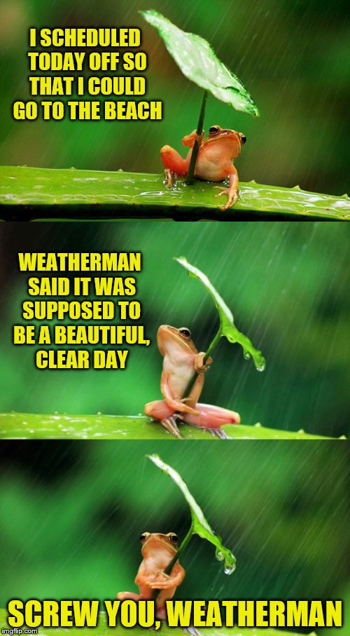 He has ONE job.  (Frog Week June 4-10, a JBmemegeek & giveuahint event!) | I SCHEDULED TODAY OFF SO THAT I COULD GO TO THE BEACH; WEATHERMAN SAID IT WAS SUPPOSED TO BE A BEAUTIFUL, CLEAR DAY; SCREW YOU, WEATHERMAN | image tagged in memes,frog week,jbmemegeek,giveuahint,weatherman,frog with umbrella | made w/ Imgflip meme maker