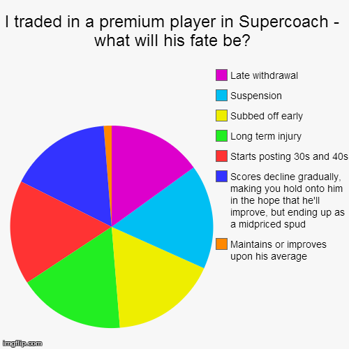 I traded in a premium player in Supercoach - what will his fate be? | Maintains or improves upon his average, Scores decline gradually, maki | image tagged in funny,pie charts | made w/ Imgflip chart maker