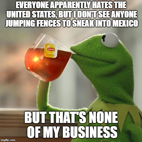 But That's None Of My Business | EVERYONE APPARENTLY HATES THE UNITED STATES, BUT I DON'T SEE ANYONE JUMPING FENCES TO SNEAK INTO MEXICO; BUT THAT'S NONE OF MY BUSINESS | image tagged in memes,but thats none of my business,kermit the frog | made w/ Imgflip meme maker