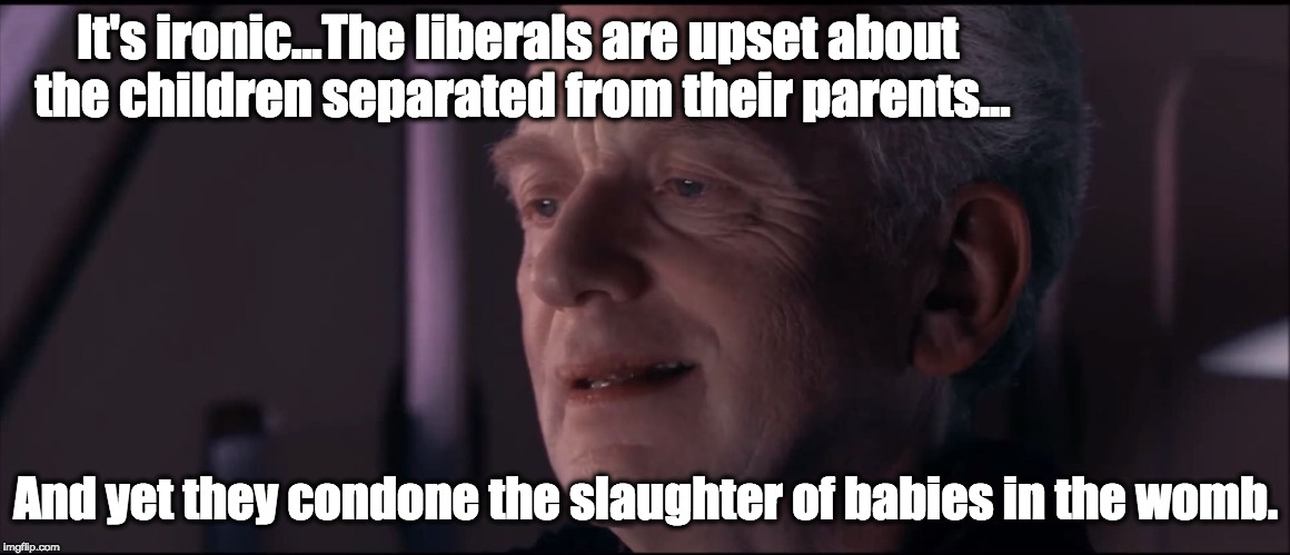 Palpatine Ironic  | It's ironic...The liberals are upset about the children separated from their parents... And yet they condone the slaughter of babies in the womb. | image tagged in palpatine ironic,liberal logic,illegal immigrants,abortion | made w/ Imgflip meme maker