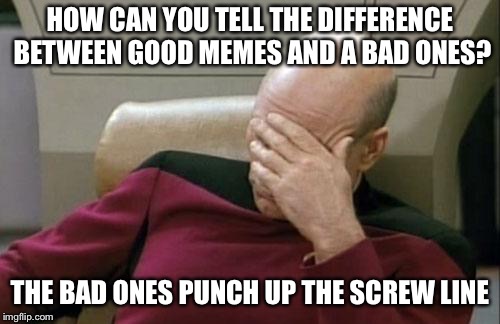 How can you tell the difference between good memes and a bad ones? | HOW CAN YOU TELL THE DIFFERENCE BETWEEN GOOD MEMES AND A BAD ONES? THE BAD ONES PUNCH UP THE SCREW LINE | image tagged in memes,captain picard facepalm | made w/ Imgflip meme maker
