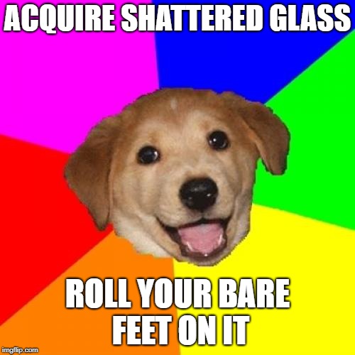 Advice Dog | ACQUIRE SHATTERED GLASS; ROLL YOUR BARE FEET ON IT | image tagged in memes,advice dog | made w/ Imgflip meme maker