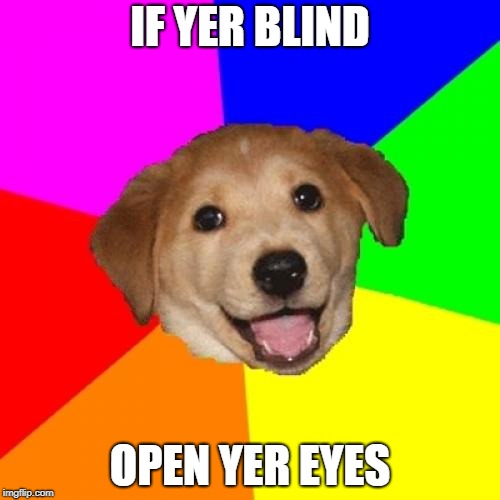Advice Dog | IF YER BLIND; OPEN YER EYES | image tagged in memes,advice dog | made w/ Imgflip meme maker