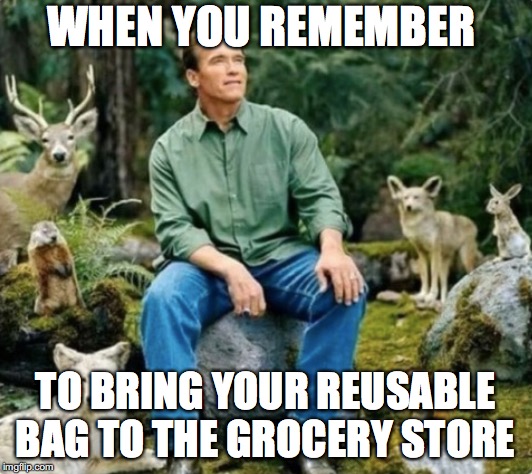 The most environmental friendly man in the world  | WHEN YOU REMEMBER; TO BRING YOUR REUSABLE BAG TO THE GROCERY STORE | image tagged in memes,funny memes,funny,too funny,arnold schwarzenegger,environmental | made w/ Imgflip meme maker