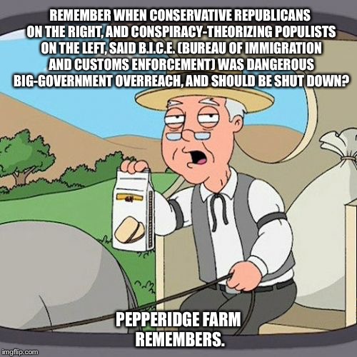 Pepperidge Farm Remembers Meme | REMEMBER WHEN CONSERVATIVE REPUBLICANS ON THE RIGHT, AND CONSPIRACY-THEORIZING POPULISTS ON THE LEFT, SAID B.I.C.E. (BUREAU OF IMMIGRATION AND CUSTOMS ENFORCEMENT) WAS DANGEROUS BIG-GOVERNMENT OVERREACH, AND SHOULD BE SHUT DOWN? PEPPERIDGE FARM REMEMBERS. | image tagged in memes,pepperidge farm remembers | made w/ Imgflip meme maker
