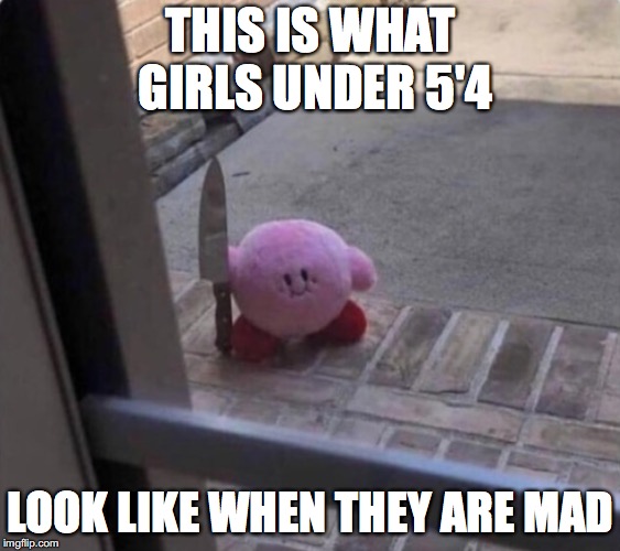 Never make them mad | THIS IS WHAT GIRLS UNDER 5'4; LOOK LIKE WHEN THEY ARE MAD | image tagged in memes,funny,too funny,funny memes,girls,funny picture | made w/ Imgflip meme maker