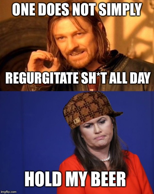ONE DOES NOT SIMPLY REGURGITATE SH*T ALL DAY HOLD MY BEER | made w/ Imgflip meme maker