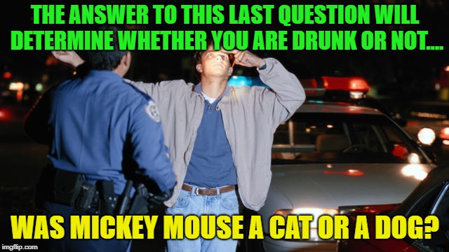 Drunks always fall for the trick questions | THE ANSWER TO THIS LAST QUESTION WILL DETERMINE WHETHER YOU ARE DRUNK OR NOT.... WAS MICKEY MOUSE A CAT OR A DOG? | image tagged in memes,funny,sobriety,mickey mouse | made w/ Imgflip meme maker