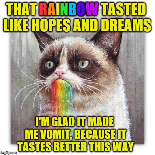 Better the 2nd time around for Grumpy Cat. | R; A; N; B; W; O; THAT RAINBOW TASTED LIKE HOPES AND DREAMS; I'M GLAD IT MADE ME VOMIT, BECAUSE IT TASTES BETTER THIS WAY | image tagged in memes,grumpy cat rainbow,rainbow | made w/ Imgflip meme maker