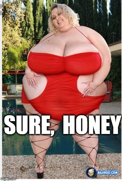 fat woman | SURE,  HONEY | image tagged in fat woman | made w/ Imgflip meme maker