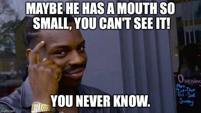 Roll Safe Think About It Meme | MAYBE HE HAS A MOUTH SO SMALL, YOU CAN'T SEE IT! YOU NEVER KNOW. | image tagged in memes,roll safe think about it | made w/ Imgflip meme maker