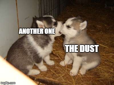 Cute Puppies | ANOTHER ONE; THE DUST | image tagged in memes,cute puppies | made w/ Imgflip meme maker