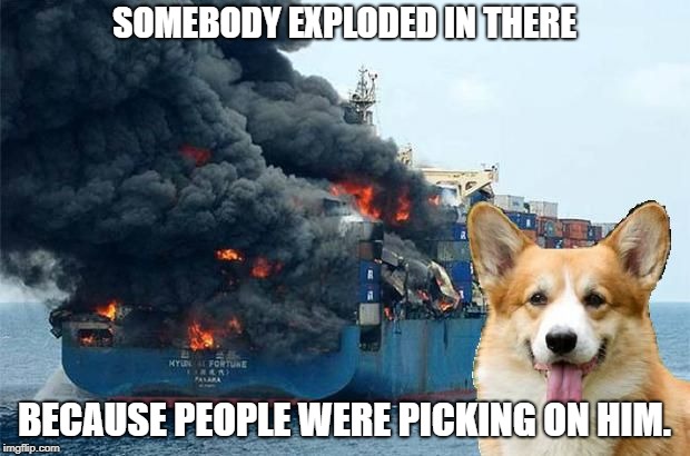 Nobody like bullying. #StopBullyingNow | SOMEBODY EXPLODED IN THERE; BECAUSE PEOPLE WERE PICKING ON HIM. | image tagged in disaster corgi,no bullying,dogs,corgi,tantrum,explosions | made w/ Imgflip meme maker