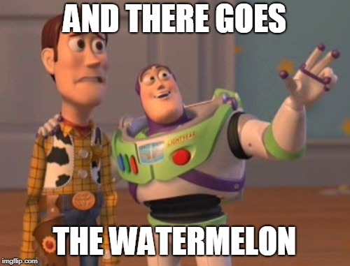 X, X Everywhere Meme | AND THERE GOES THE WATERMELON | image tagged in memes,x x everywhere | made w/ Imgflip meme maker