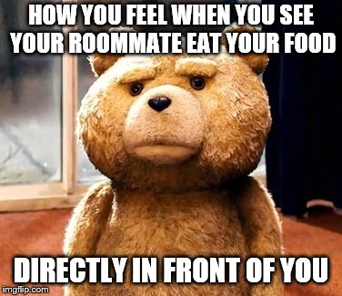 TED | HOW YOU FEEL WHEN YOU SEE YOUR ROOMMATE EAT YOUR FOOD; DIRECTLY IN FRONT OF YOU | image tagged in memes,ted | made w/ Imgflip meme maker
