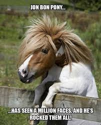 Jon Bon Pony | JON BON PONY... ...HAS SEEN A MILLION FACES, AND HE'S ROCKED THEM ALL! | image tagged in memes,jon bon pony,jon bon jovi | made w/ Imgflip meme maker