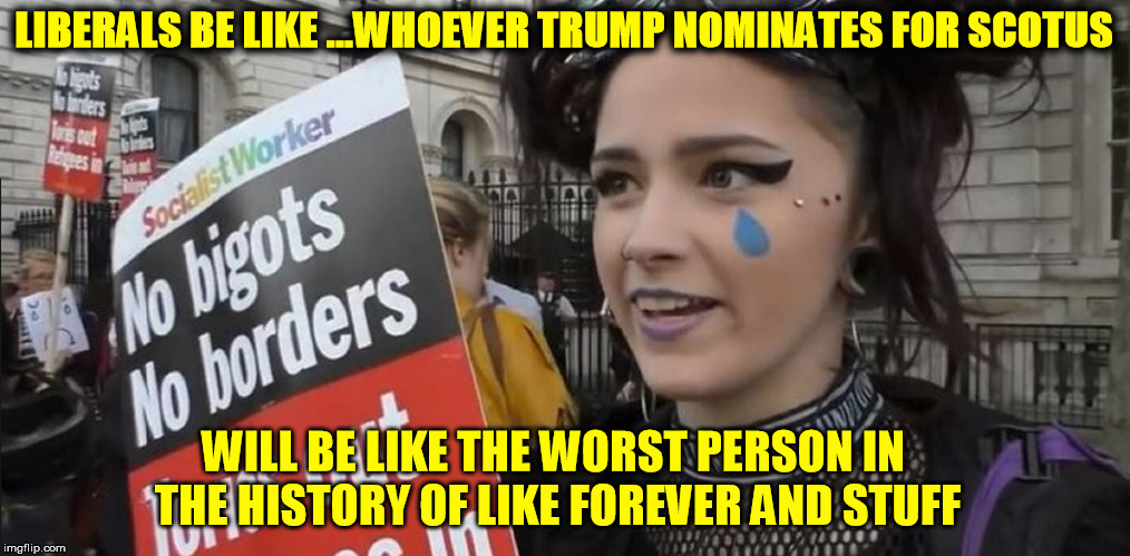 LIBERALS BE LIKE ...WHOEVER TRUMP NOMINATES FOR SCOTUS; WILL BE LIKE THE WORST PERSON IN THE HISTORY OF LIKE FOREVER AND STUFF | image tagged in anti trump,democrats,college liberal,stupid liberals,impeach trump,libtards | made w/ Imgflip meme maker