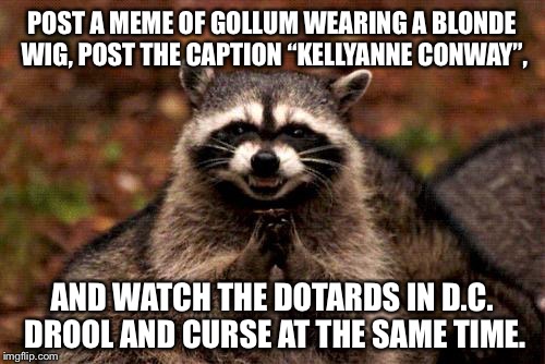 Kellyanne Conway looks like Gollum in drag | POST A MEME OF GOLLUM WEARING A BLONDE WIG, POST THE CAPTION “KELLYANNE CONWAY”, AND WATCH THE DOTARDS IN D.C. DROOL AND CURSE AT THE SAME TIME. | image tagged in memes,evil plotting raccoon,gollum lord of the rings,kellyanne conway,dotard,politicians | made w/ Imgflip meme maker