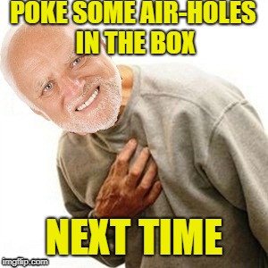 POKE SOME AIR-HOLES IN THE BOX NEXT TIME | made w/ Imgflip meme maker