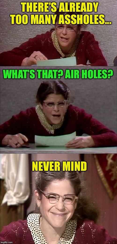 Bad Pun Gilda Radner playing Emily Litella | THERE’S ALREADY TOO MANY ASSHOLES... NEVER MIND WHAT’S THAT? AIR HOLES? | image tagged in bad pun gilda radner playing emily litella | made w/ Imgflip meme maker